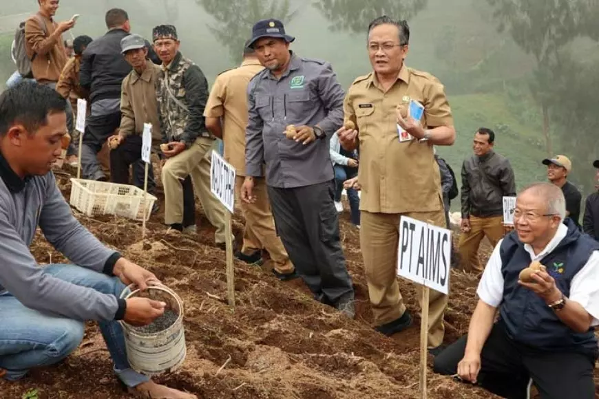 Langkah Awal Menuju Pertanian Modern, Petani Muda Tanam Perdana Kentang di Kabupaten Malang