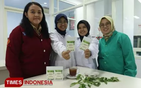 Mahasiswa Ubaya Buat Minuman Herbal Cegah Diabetes dari Daun Sambiloto