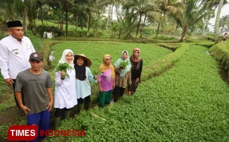 Yuk Intip Program Unggulan Bupati Banyuwangi untuk Menopang Pertumbuhan Ekonomi Agraris