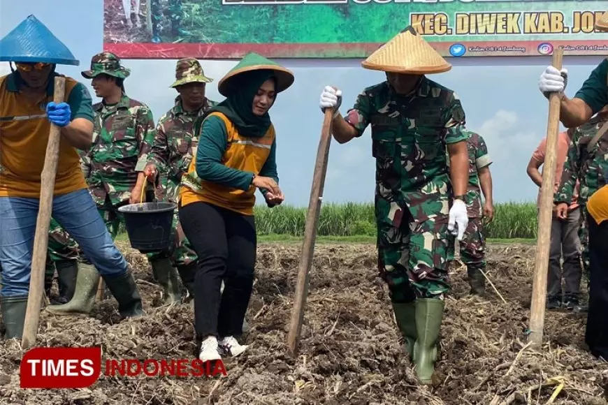 Tingkatkan Ketahanan Pangan Nasional, Kodim 0814 Jombang Manfaatkan Lahan Tidur TNI AD