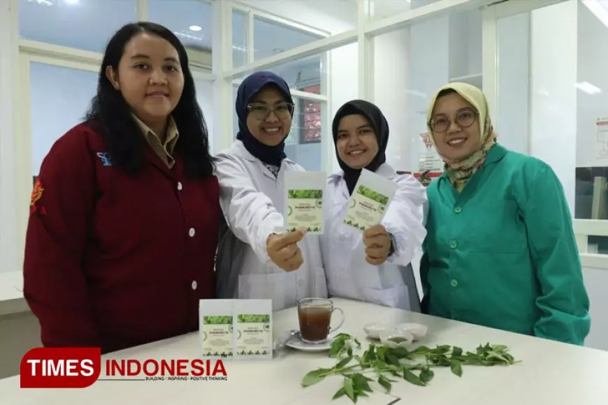 Mahasiswa Ubaya Buat Minuman Herbal Cegah Diabetes dari Daun Sambiloto