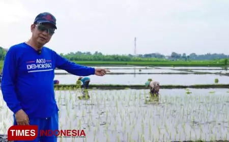 Banyuwangi Uji Coba Formula Organik Pengganti Pupuk Kimia,  Optimistis Dongkrak Produksi hingga 12 Ton Per Hektar