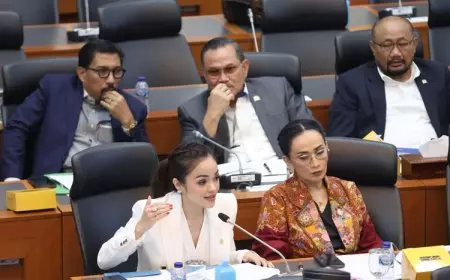 DPR Dukung Pembatasan Penggunaan Medsos Anak Melalui UU