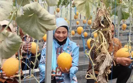 Dukung Pertanian Smart Farming, Kementan Buka Pelatihan Short Term Low Cost Farming