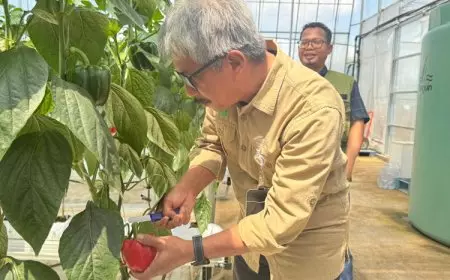 Kembangkan Smart Greenhouse dengan Teknologi Korea, Polbangtan Malang Gandeng PT DMC Indonesia Food
