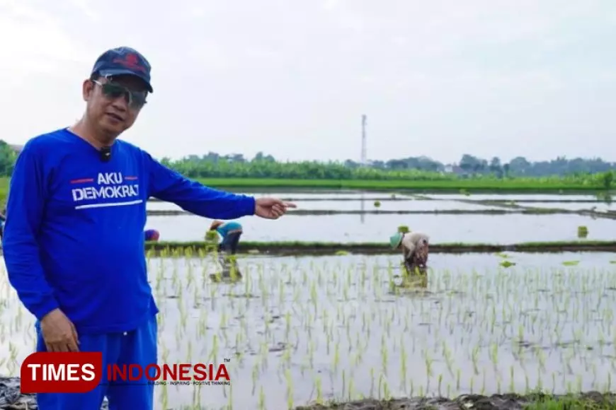 Banyuwangi Uji Coba Formula Organik Pengganti Pupuk Kimia,  Optimistis Dongkrak Produksi hingga 12 Ton Per Hektar