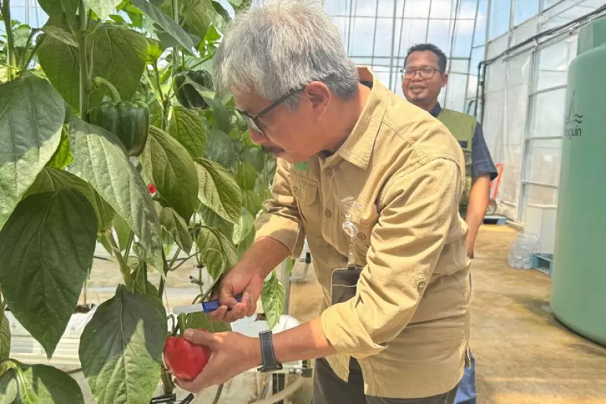 Kembangkan Smart Greenhouse dengan Teknologi Korea, Polbangtan Malang Gandeng PT DMC Indonesia Food