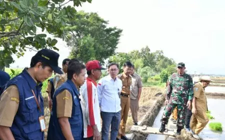 Dandim Ponorogo Dampingi Dirjen Tanaman Pangan Monitoring Percepatan LTT