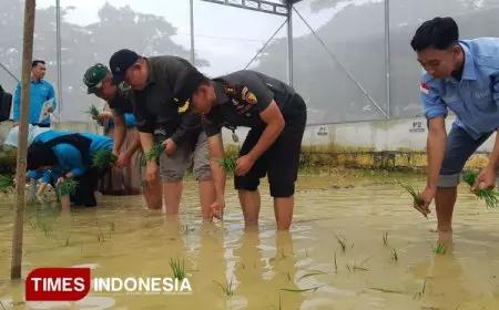 Kodim 0812 Lamongan dan Unisla Lakukan Eksperimen, Cari Formula Padi Super