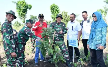Kodim bersama Pemkab Ponorogo Gelar Kegiatan Penghijauan