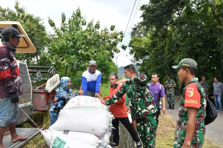 Dandim Ponorogo Blusukan ke Sawah, Pastikan Harga Gabah Tak Merugikan Petani