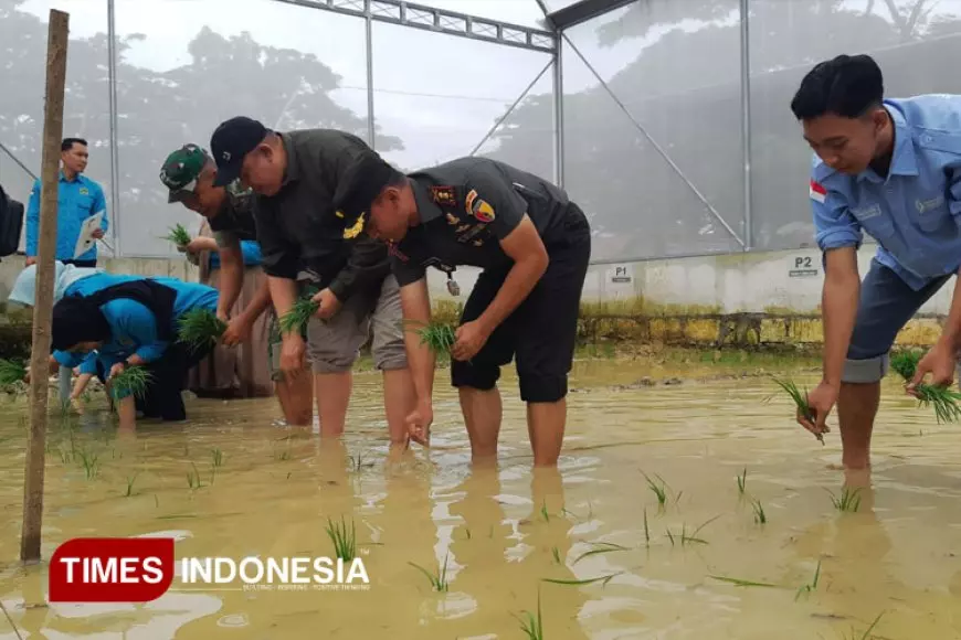 Kodim 0812 Lamongan dan Unisla Lakukan Eksperimen, Cari Formula Padi Super