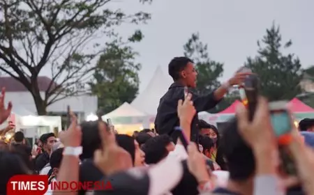 Lima Peluang Bisnis Paling Menguntungkan di Konser Musik