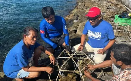 Komunitas BERGUNA Rehabilitasi Dua Lokasi Terumbu Karang di Flores Timur