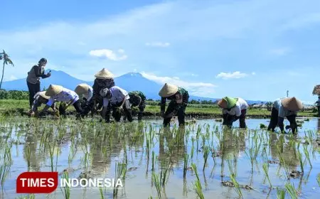 Ikuti Tanam Padi Serentak, Banyuwangi Siap Wujudkan Indonesia Sebagai Lumbung Pangan Dunia