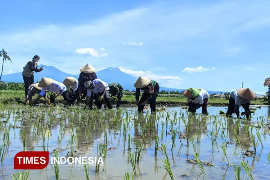 Ikuti Tanam Padi Serentak, Banyuwangi Siap Wujudkan Indonesia Sebagai Lumbung Pangan Dunia