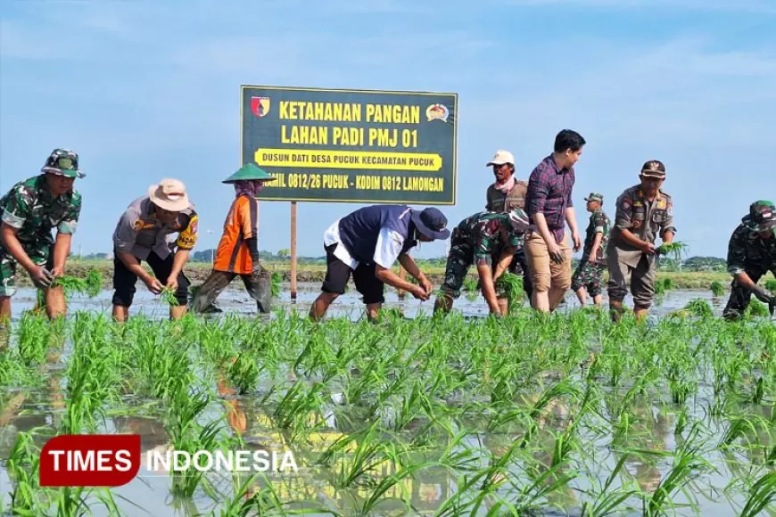 Bersama Petani, Dandim Lamongan Tanam Harapan Lewat Padi PMJ 01