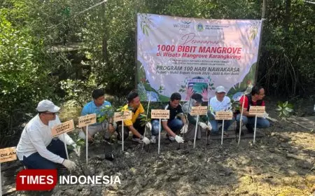 Gandeng DLH Gresik, Wilmar Nabati Tanam Seribu Bibit Mangrove di Wisata Karangkiring