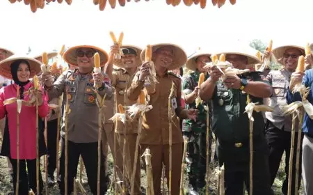 Polres Kebumen Panen Raya Jagung di Desa Tlogopragoto