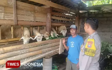 Jelang Idul Adha, Sinergi Polisi dan Peternak Jaga Kesehatan Ternak Domba