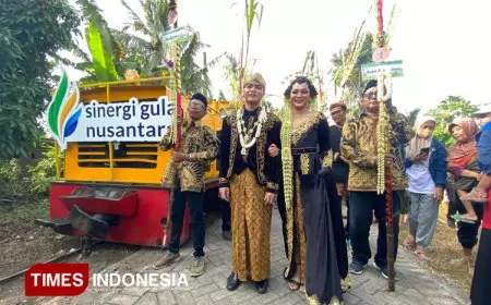 Mengenal Petik Tebu Manten, Tradisi Perkawinan Tebu di Semboro