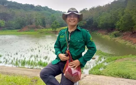 Akademisi Nilai Rehabilitasi Hutan di Indonesia Masih Belum Efektif