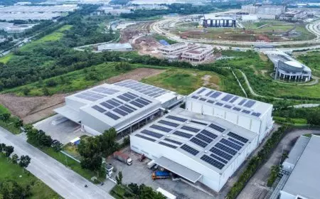 PT Blasfolie Internasional Indonesia Gandeng Suryanesia Wujudkan Komitmen Green Production Factory Melalui Sistem PLTS Atap