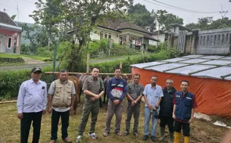 PT Berkat Cawan Energi Serahkan 7 Hewan Kurban untuk Warga Sukabumi, Wujud Apresiasi dan Kepedulian Sosial di Momen Idul Adha 2025