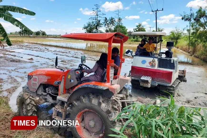 Tingkatkan Profesionalisme Petani, Pelatihan Brigade Pangan Digelar di Lempuing Jaya Sumsel
