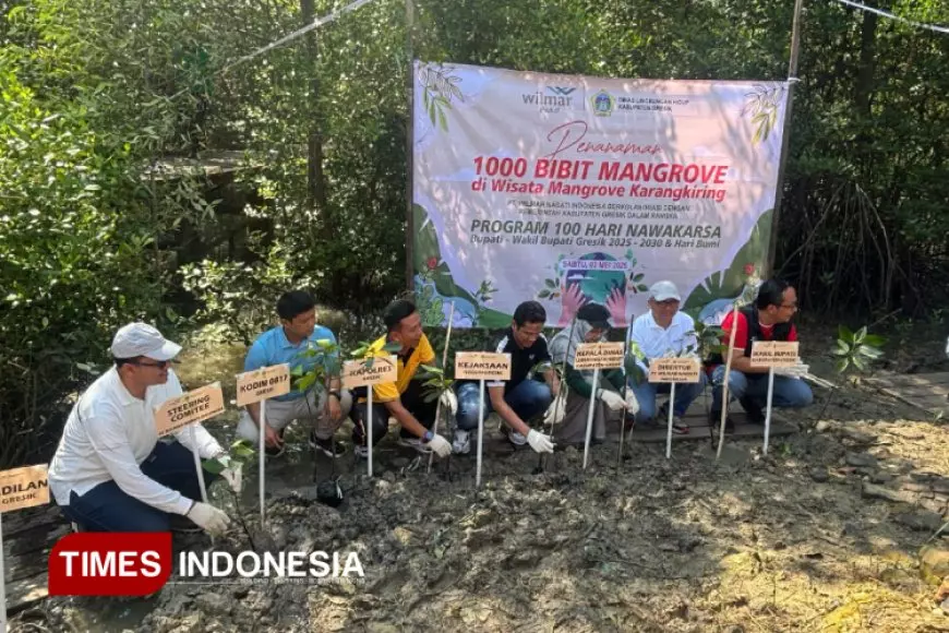 Gandeng DLH Gresik, Wilmar Nabati Tanam Seribu Bibit Mangrove di Wisata Karangkiring