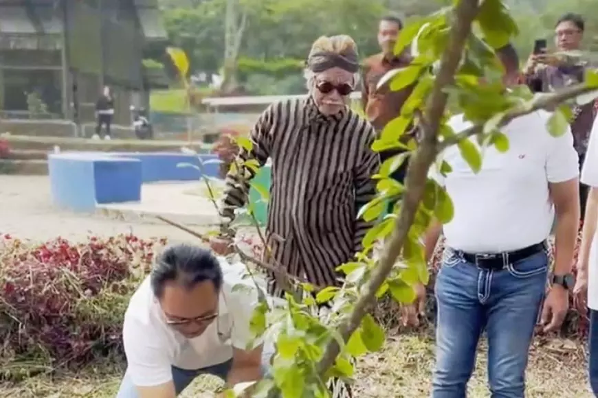 Pulihkan Area Kebakaran Hutan, IKA UNS Jatim Tanam Pohon di Tahura Raden Soerjo