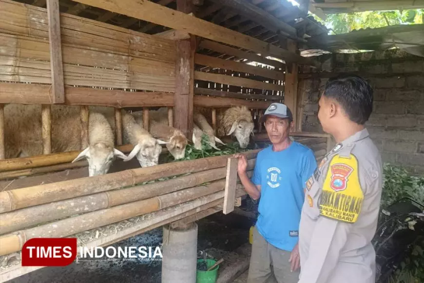 Jelang Idul Adha, Sinergi Polisi dan Peternak Jaga Kesehatan Ternak Domba