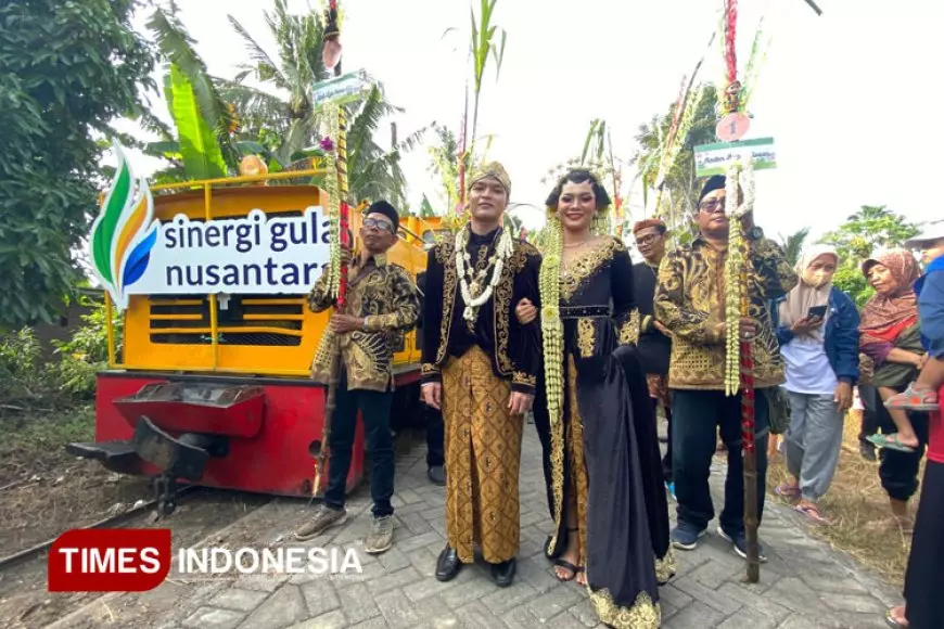 Mengenal Petik Tebu Manten, Tradisi Perkawinan Tebu di Semboro