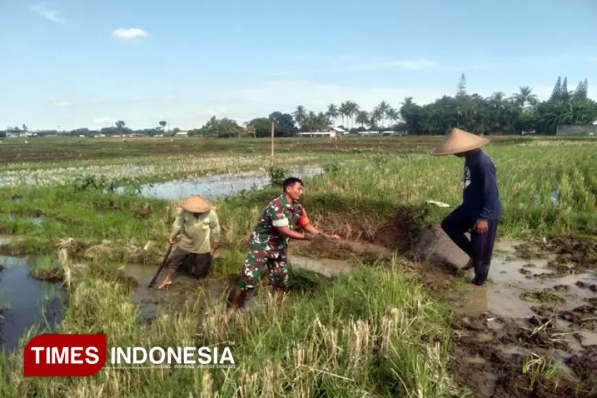 Seragam Loreng Berpadu Cangkul: Kisah Inspiratif Babinsa dan Petani di Desa Birowo