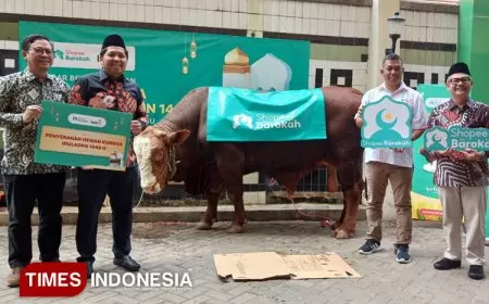 Shopee Barokah Serahkan Sapi Limosin ke Lazismu, Wujud Kolaborasi Kurban untuk Sesama