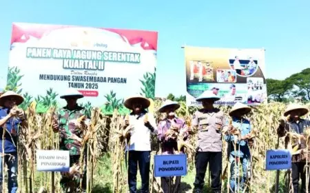 Dandim Ponorogo Hadiri Panen Raya Jagung Serentak Kuartal II