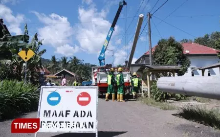 Terangi Bandealit, Pemkab Jember dan PLN Pasang Ratusan Tiang Listrik