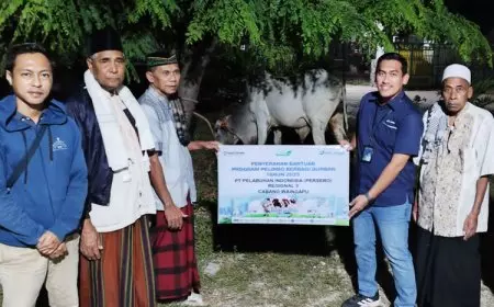 Pelindo Waingapu Serahkan Hewan Kurban di Masjid Al-Falah Kampung Baru