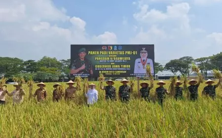 Pangdam V Brawijaya Pimpin Panen Raya dan Tinjau Kawasan Pertanian Terpadu Lamongan