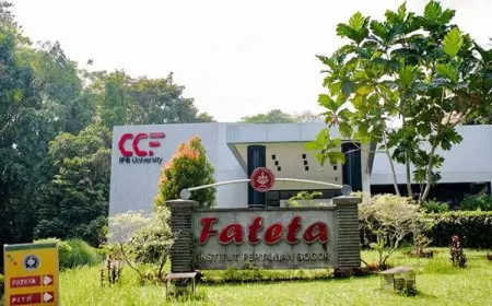 Perubahan Fateta IPB Jadi Sekolah Teknik, DPR Akan Minta Penjelasan Mendiktisaintek