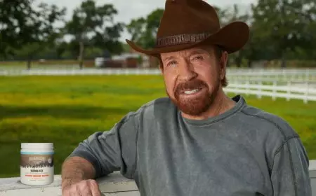 Suhu Film Aksi Chuck Norris Comeback!