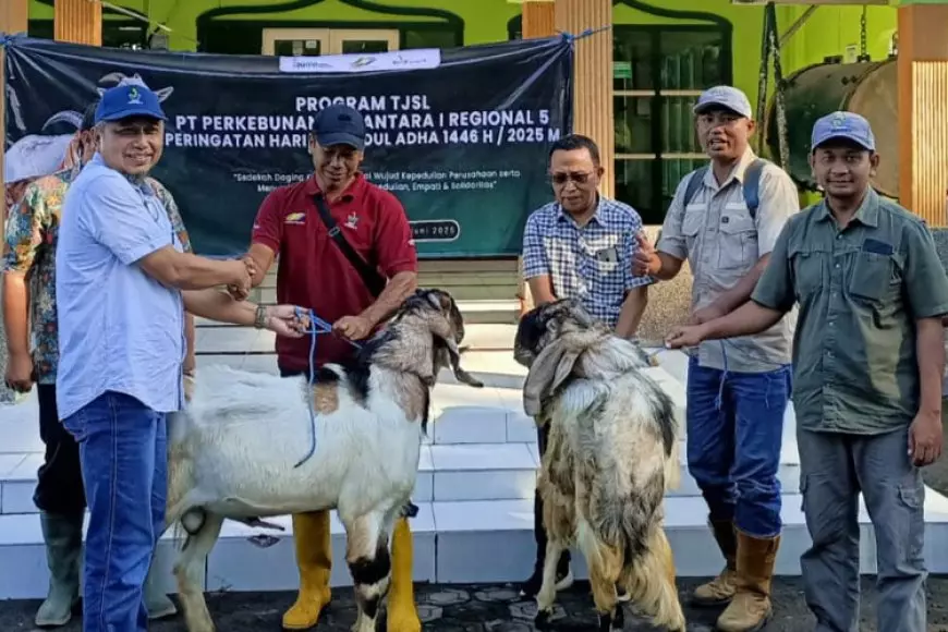 Idul Adha 2025, PTPN I Regional 5 Bagikan Hewan Kurban pada Warga Perkebunan di Lima Kabupaten