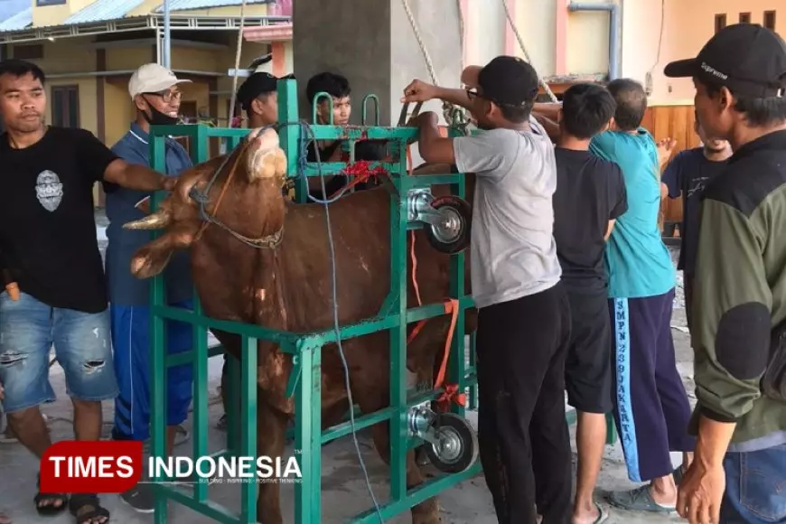 Warga LDII Lamongan Kurban Ratusan Ekor Sapi dan Kambing