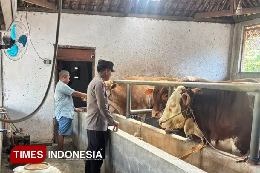 Polresta Banyuwangi Bantu Genjot Produktivitas Peternakan Sapi Rakyat
