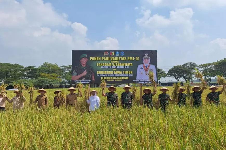 Pangdam V Brawijaya Pimpin Panen Raya dan Tinjau Kawasan Pertanian Terpadu Lamongan