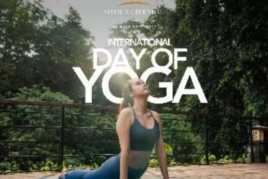 Rayakan Hari Yoga Internasional, Sthala Ubud Hadirkan Acara Eksklusif dengan Yoga, Meditasi, dan Kuliner Istimewa