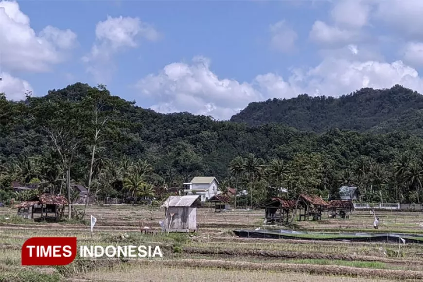 BPBD Minta Warga NTT Siap Siaga Memasuki Musim Kemarau Panjang