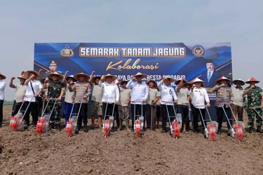Imigrasi Surabaya dan Polresta Sidoarjo Tanam Jagung Dukung Ketahanan Pangan Nasional