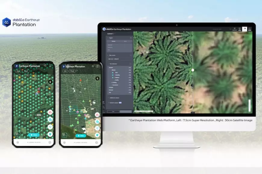 Dabeeo Resmi Luncurkan Platform Terintegrasi Web dan Mobile App: Eartheye Plantation
