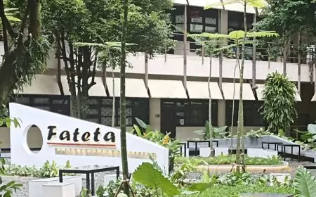 Penolakan Perubahan Fateta IPB Jadi Sekolah Teknik, Mendiktisaintek: Fakultas Hingga Prodi, Bicarakan Baik-baik